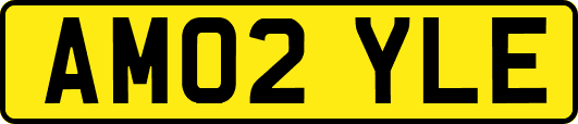 AM02YLE
