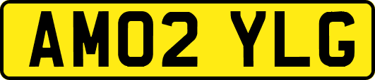 AM02YLG