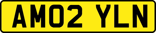 AM02YLN