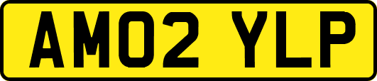 AM02YLP