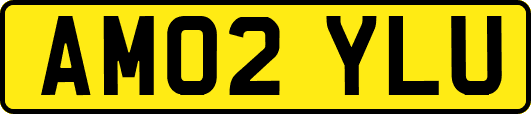 AM02YLU