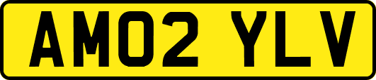 AM02YLV