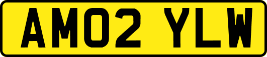 AM02YLW