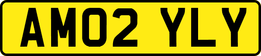 AM02YLY