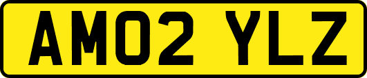 AM02YLZ
