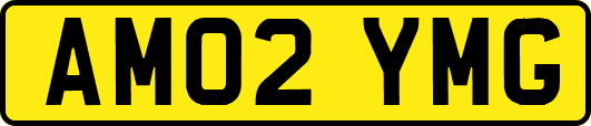 AM02YMG