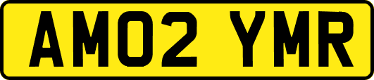 AM02YMR
