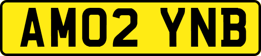 AM02YNB