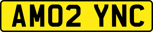AM02YNC