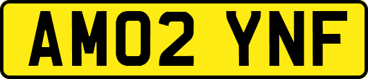 AM02YNF