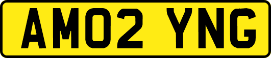 AM02YNG