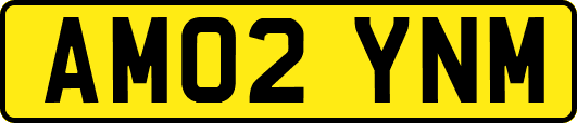 AM02YNM