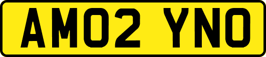 AM02YNO