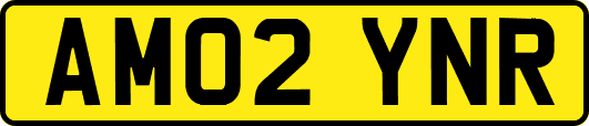 AM02YNR