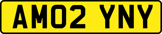 AM02YNY