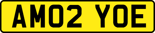 AM02YOE