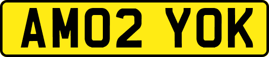 AM02YOK