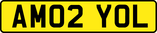 AM02YOL