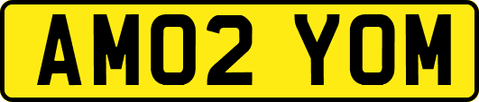 AM02YOM