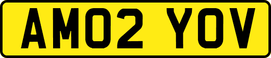 AM02YOV