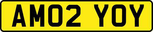 AM02YOY