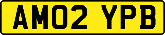 AM02YPB