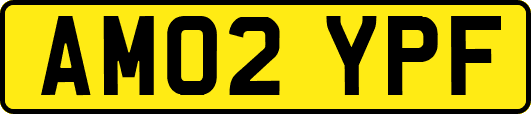 AM02YPF