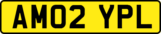 AM02YPL