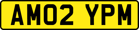 AM02YPM