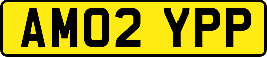 AM02YPP