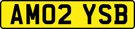AM02YSB