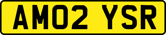 AM02YSR
