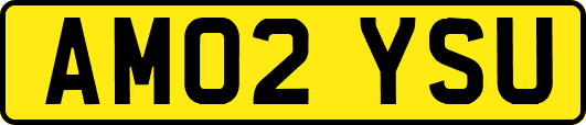 AM02YSU