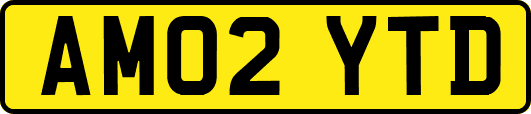 AM02YTD