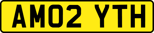 AM02YTH