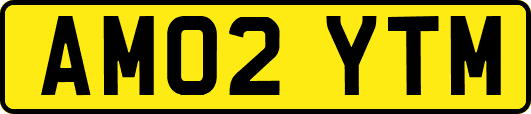 AM02YTM