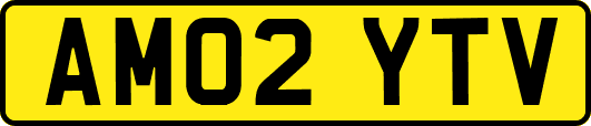 AM02YTV