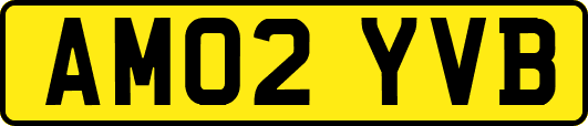 AM02YVB