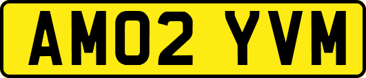 AM02YVM