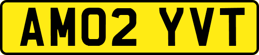 AM02YVT