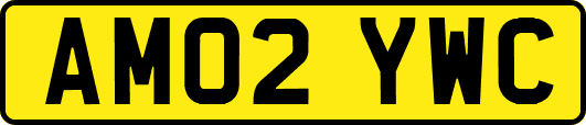 AM02YWC