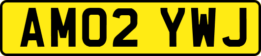 AM02YWJ