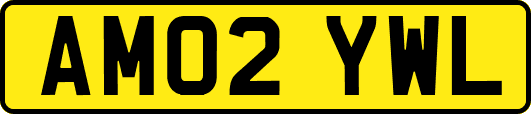 AM02YWL