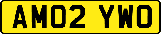 AM02YWO