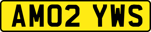 AM02YWS
