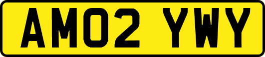 AM02YWY