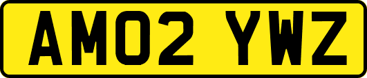 AM02YWZ