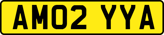 AM02YYA