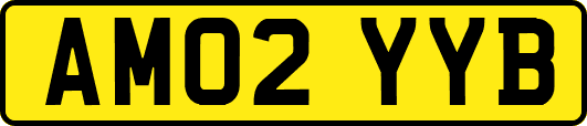AM02YYB