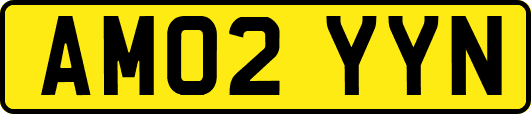 AM02YYN
